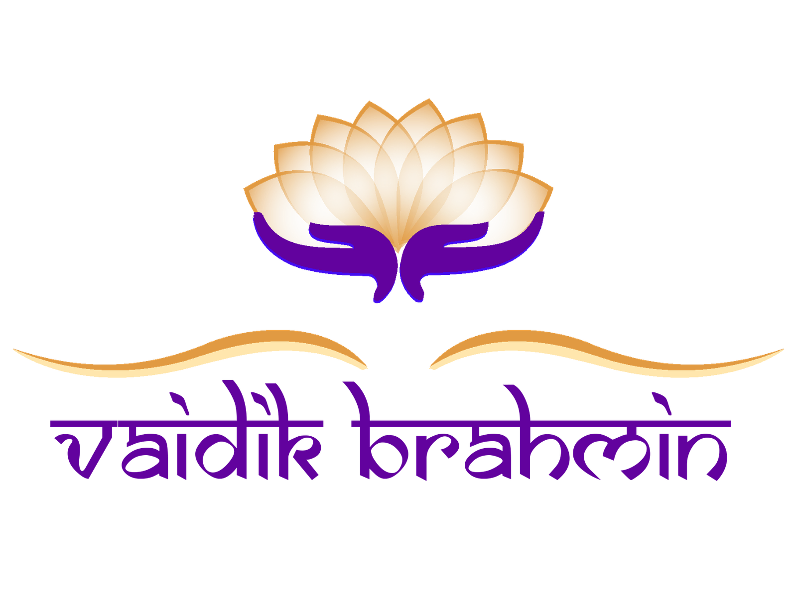 vaidikbrahmin