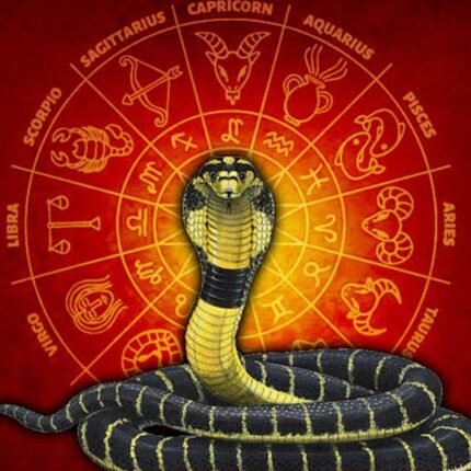 Kaal Sarp Dosh Shanti Samagri